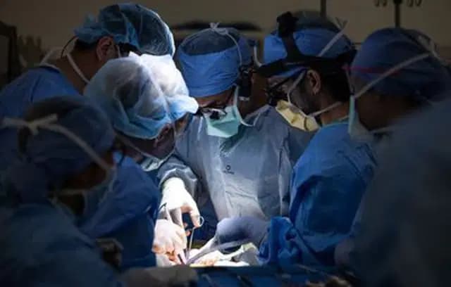 bladder transplant