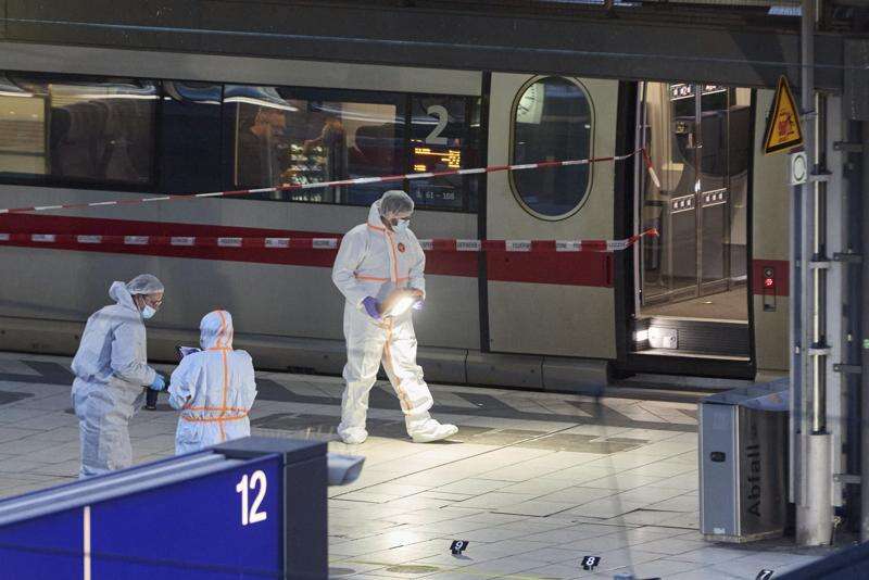 knife attack in hamburg
