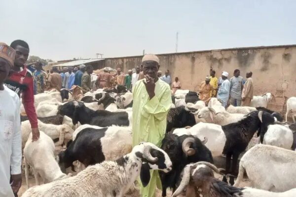 ram dealer