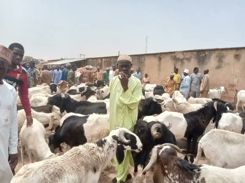 ram dealer